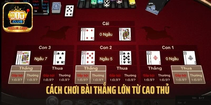 Cách chơi bài thắng lớn từ cao thủ