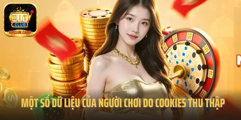 Một số dữ liệu của người chơi do cookies thu thập